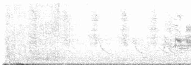 Boat-tailed Grackle (westoni) - ML616744397