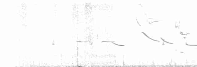 Eastern Meadowlark - ML616744430