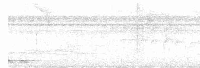 Lattice-tailed Trogon - ML616744465