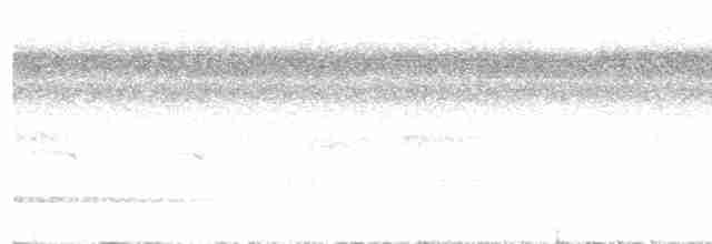 Little Tinamou - ML616745630