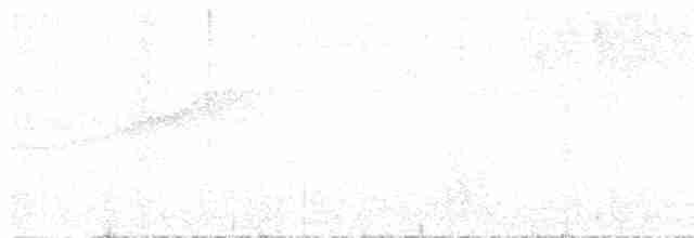 Поплітник плямистий - ML616745792