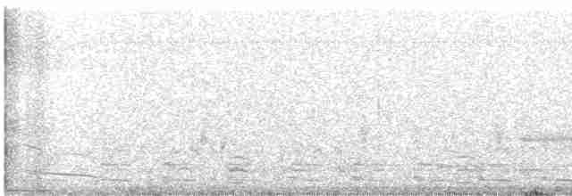 疣鼻天鵝 - ML616745893