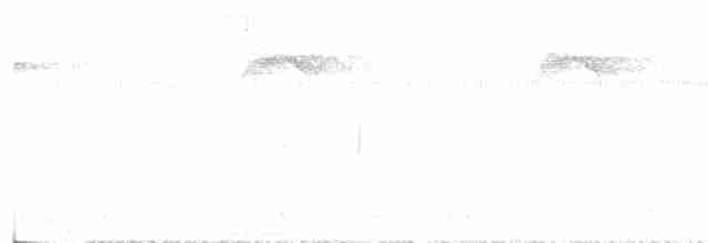 Trogon de Masséna - ML616745926