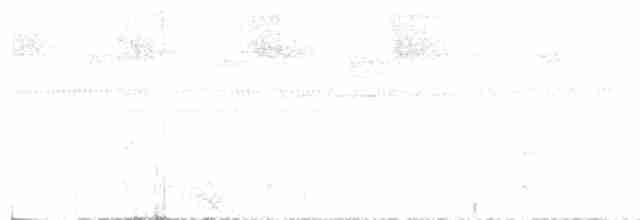 holub krátkozobý - ML616745998
