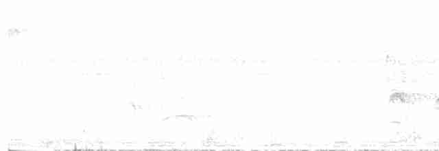 キタツグミマイコドリ - ML616746072