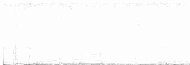 Smaragdan émeraude - ML616747139
