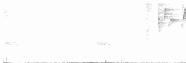 Агиртрія гватемальська - ML616747571
