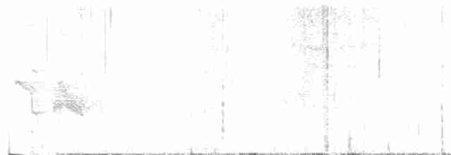 Vireo Ojiblanco - ML616747890