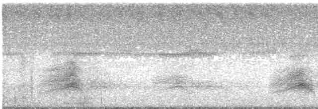 裏海燕鷗 - ML616747921