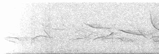 Анаперо-довгокрил рудочеревий - ML616748051