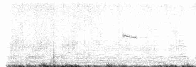 疣鼻天鵝 - ML616749081