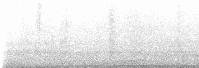 Black-crowned Night Heron - ML616749590