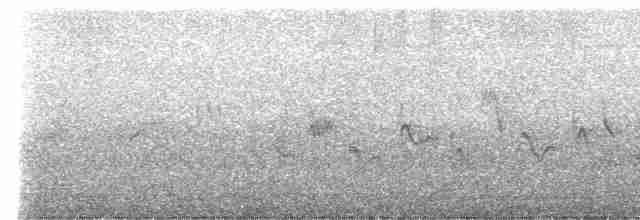 Warbling Vireo (Western) - ML616751061