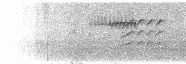 Graumantel-Brillenvogel - ML616752229