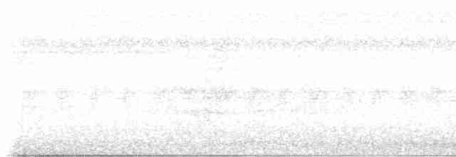 Якамара рудохвоста - ML616752520
