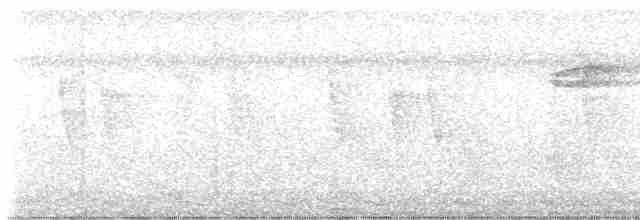 Мухолов-клинодзьоб сірий - ML616752777