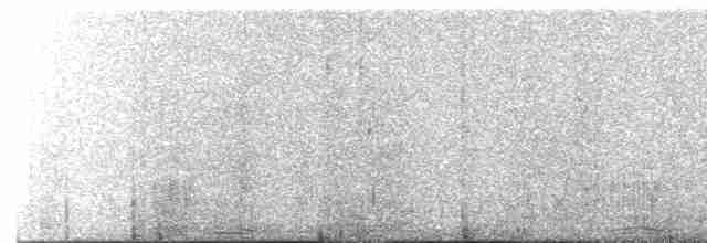 Kara Gerdanlı Todi Tiranı - ML616753303