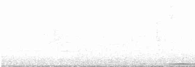 White-tipped Dove - ML616753501