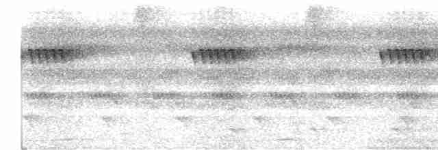 Great Eared-Nightjar - ML616754001