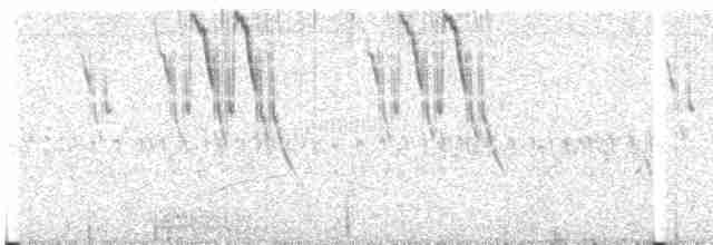 Band-tailed Sierra Finch - ML616754304
