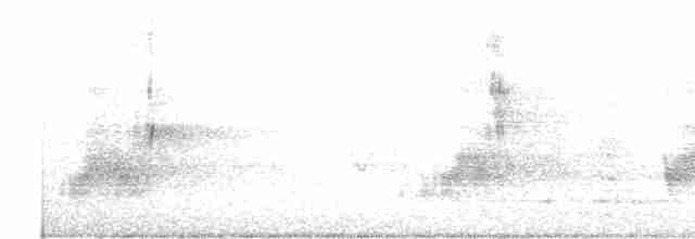 Міагра білогорла - ML616754326