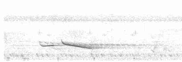 Puff-throated Babbler - ML616755370