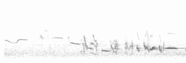 Cuitlacoche de las Artemisas - ML616755430