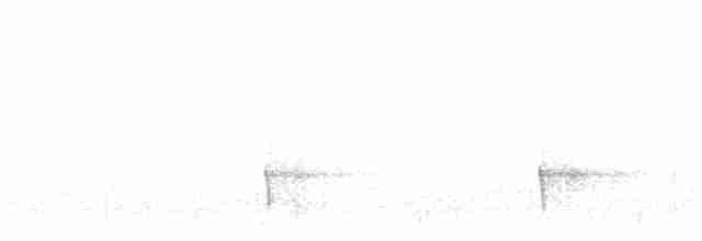Черноспинный трёхпалый дятел - ML616755501
