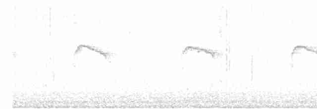 Troglodyte des volcans - ML616755555