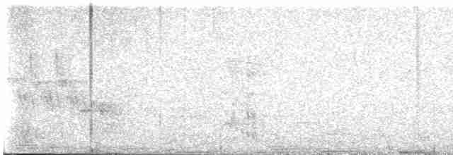 Güneyli Wagler Papağanı - ML616755788