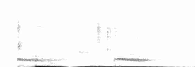 Сичик-горобець індійський - ML616756529