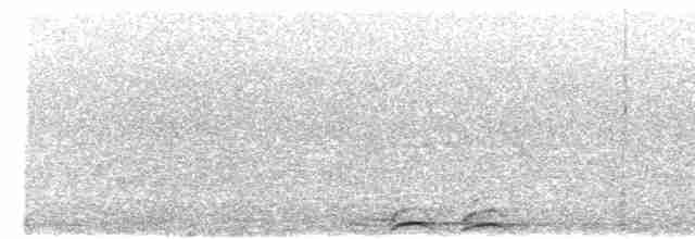 Сова-голконіг плямиста - ML616757220