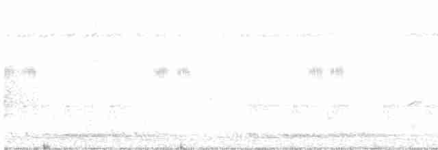 Black-headed Cuckooshrike - ML616757991