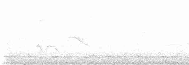Краснобровый попугаевый виреон - ML616758127