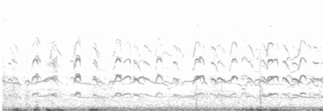 Black-tailed Godwit - ML616761573