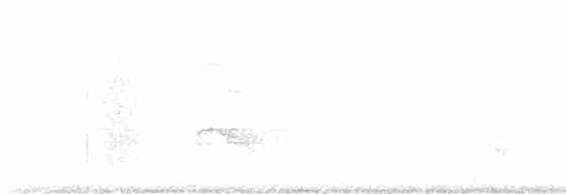 Кулик-сорока євразійський - ML616762309