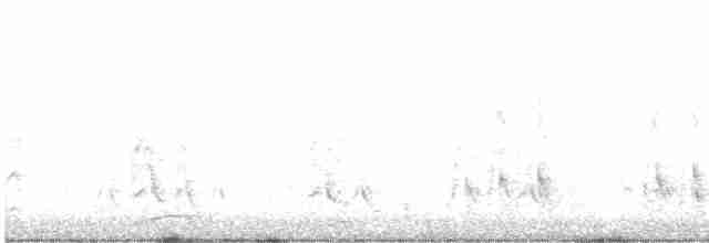 Black-tailed Godwit - ML616762380