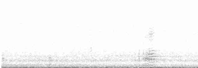berneška tmavá (ssp. bernicla) - ML616762530