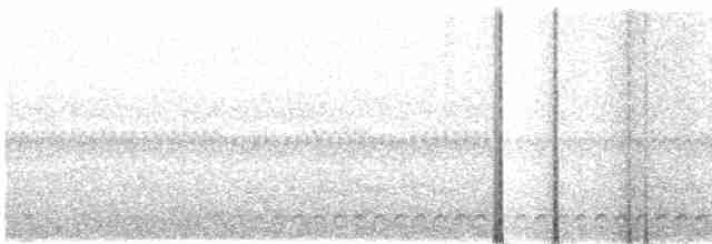 Chevêchette cuculoïde - ML616763633