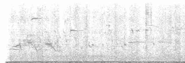 Тремблер прямодзьобий - ML616763761