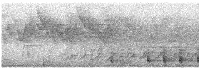 Arrenga siffleur (groupe flavirostris) - ML616764154
