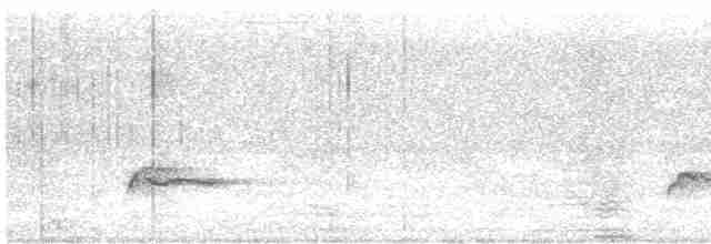 hvitlinjehonningeter - ML616764551