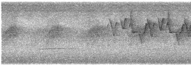 Mosquitero de Blyth - ML616764604