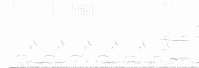 小天鵝 - ML616765470