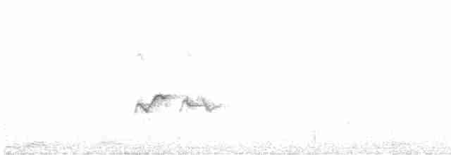 Ak Kaşlı Mavi Kuyruklu Bülbül (formosanus) - ML616765722