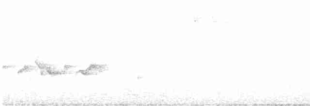 Ak Kaşlı Mavi Kuyruklu Bülbül (formosanus) - ML616765723