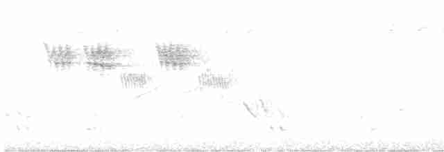 Снежнобровая мухоловка - ML616765839