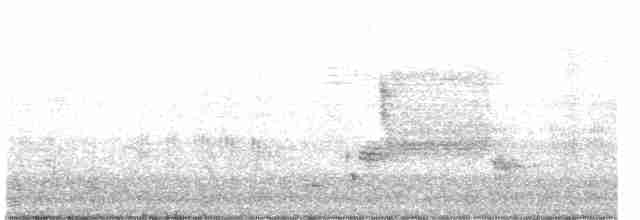 Al Kanatlı Karatavuk [phoeniceus grubu] - ML616766314