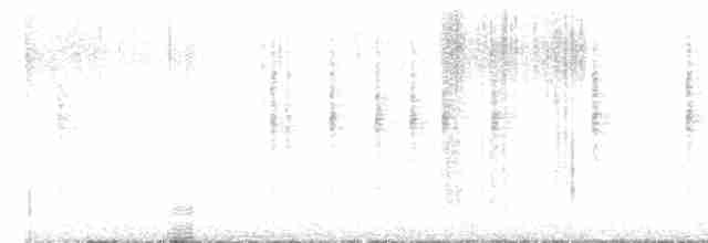 Eastern Subalpine Warbler - ML616767756