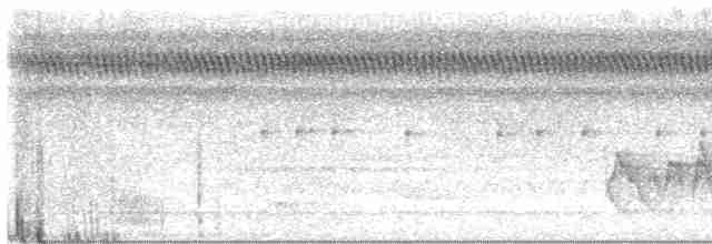 Чернохвостая гологлазка - ML616768919